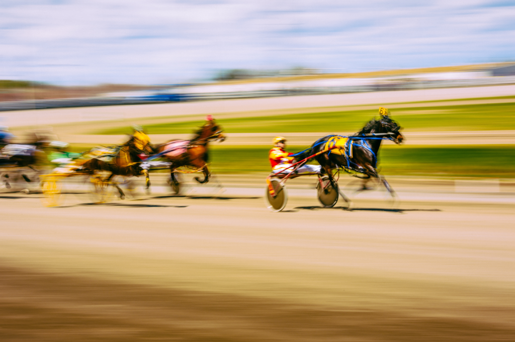 BSIA AGM/Night at the Races April 14, 2023 Building Supply Industry